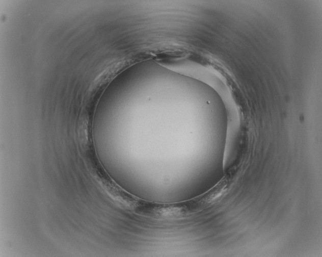 X0000073730501200608311848