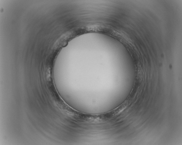 X0000073730502200608311848