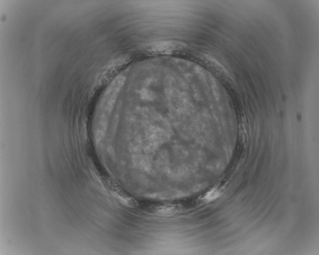 X0000073730504200608311848