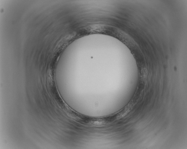 X0000073730506200608311848