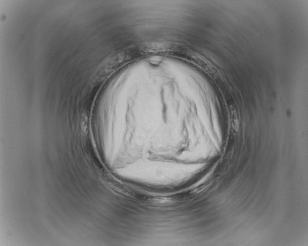 X0000073730507200608311848