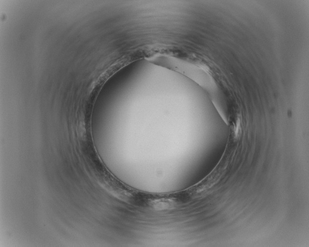 X0000073730508200608311848