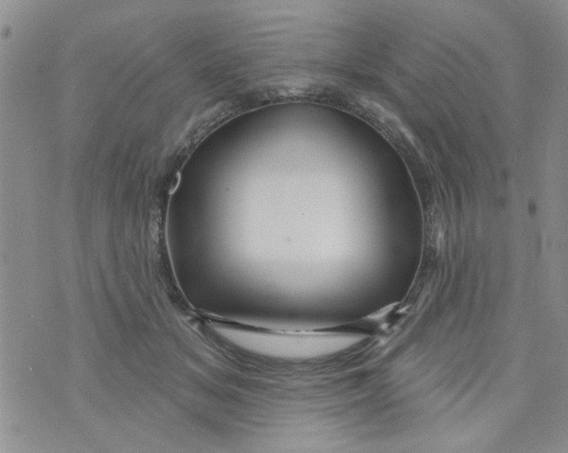 X0000073730509200608311848