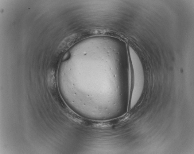 X0000073730511200608311848