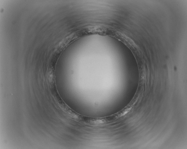 X0000073730513200608311848