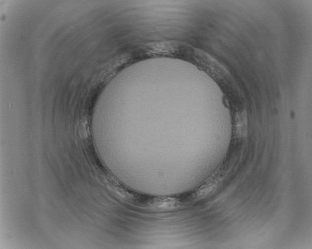 X0000073730514200608311848