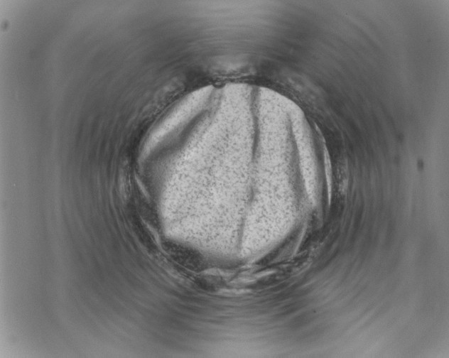 X0000073730515200608311848