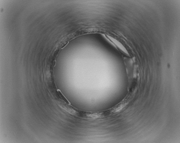 X0000073730516200608311848