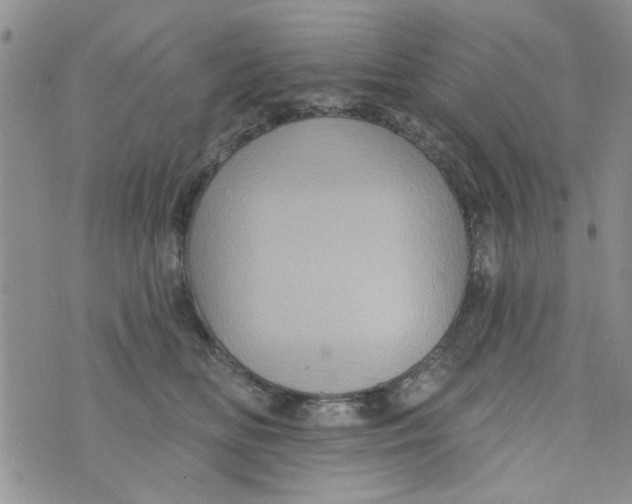 X0000073730518200608311848