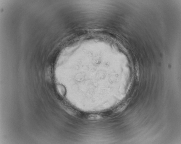 X0000073730519200608311848