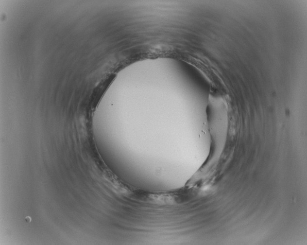 X0000073730520200608311848