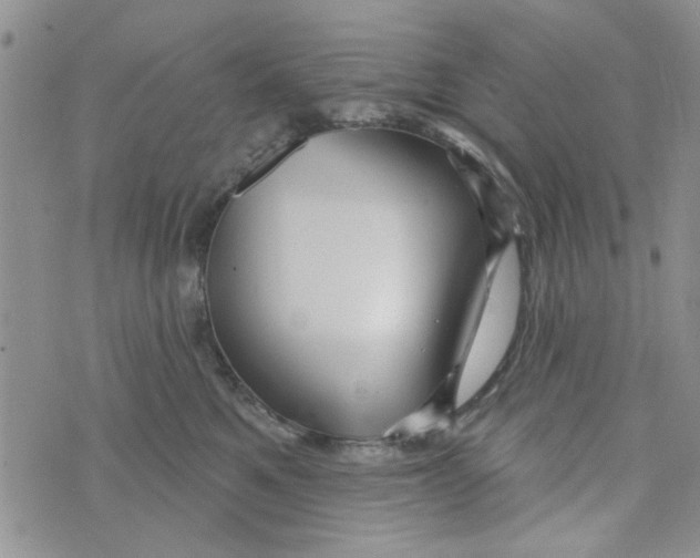 X0000073730521200608311848