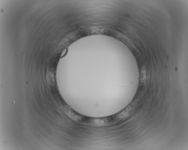 X0000073730522200608311848