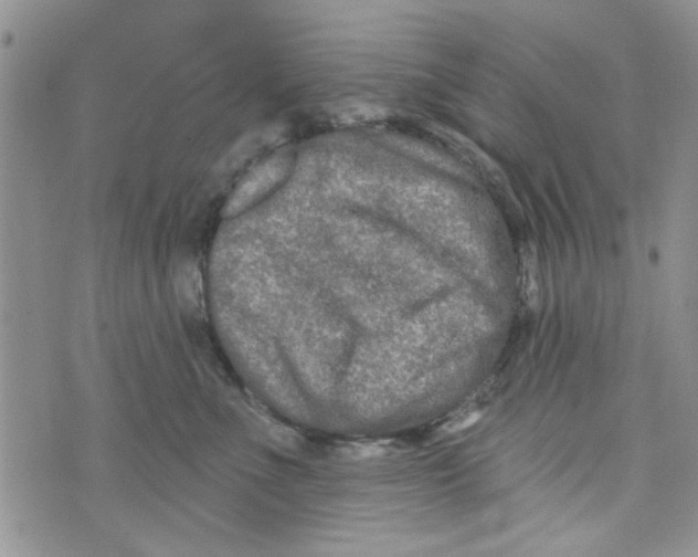 X0000073730523200608311848