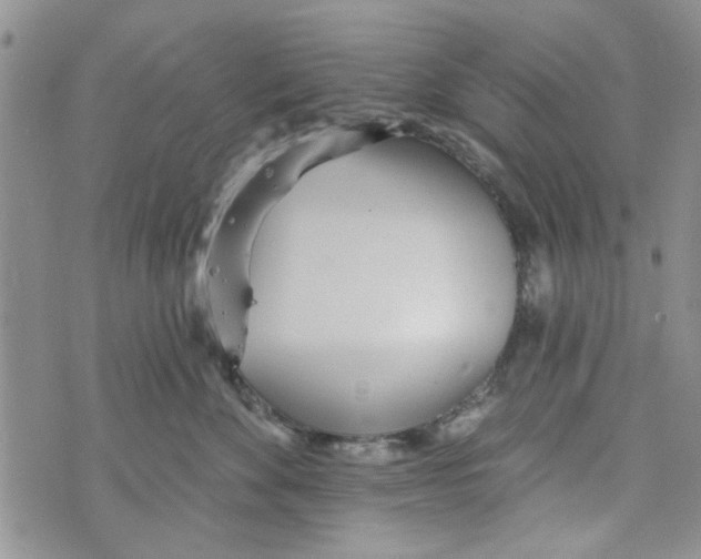 X0000073730524200608311848