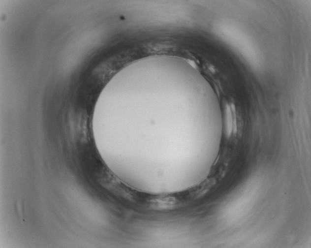 X0000073730525200608311848