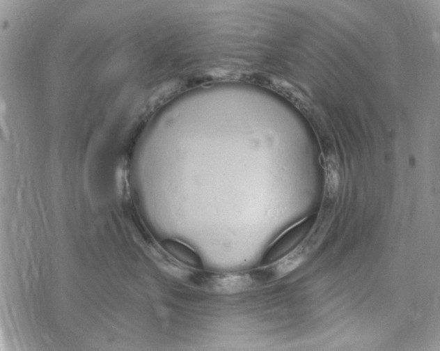 X0000073730527200608311848