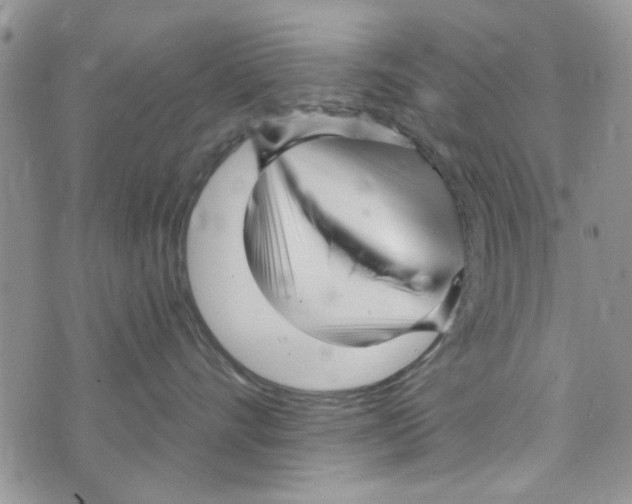 X0000073730528200608311848