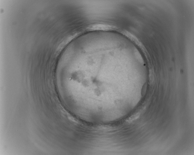 X0000073730529200608311847