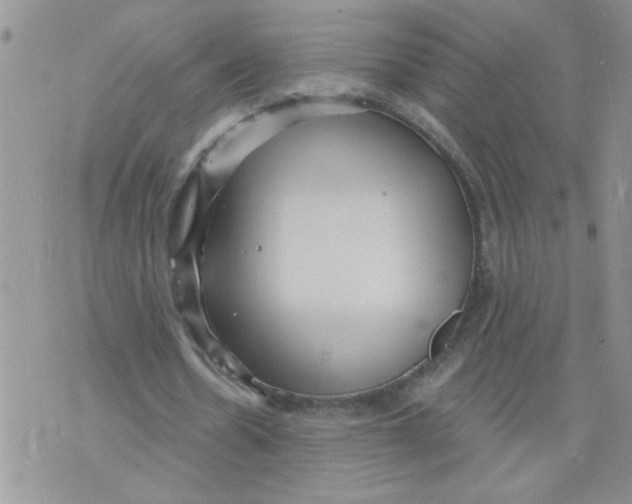 X0000073730530200608311847