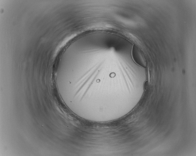 X0000073730531200608311847