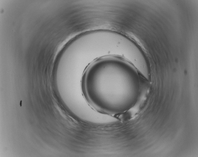 X0000073730532200608311847