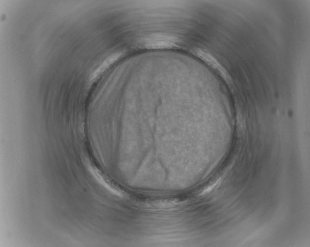 X0000073730533200608311847