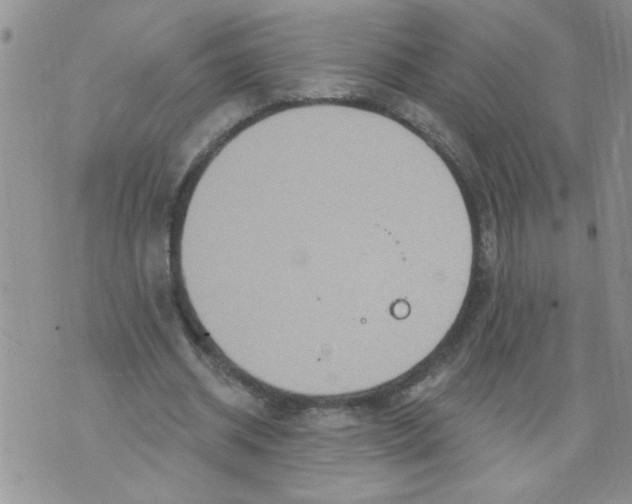 X0000073730534200608311847