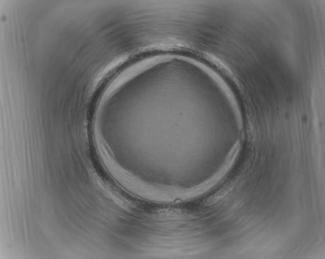 X0000073730535200608311847