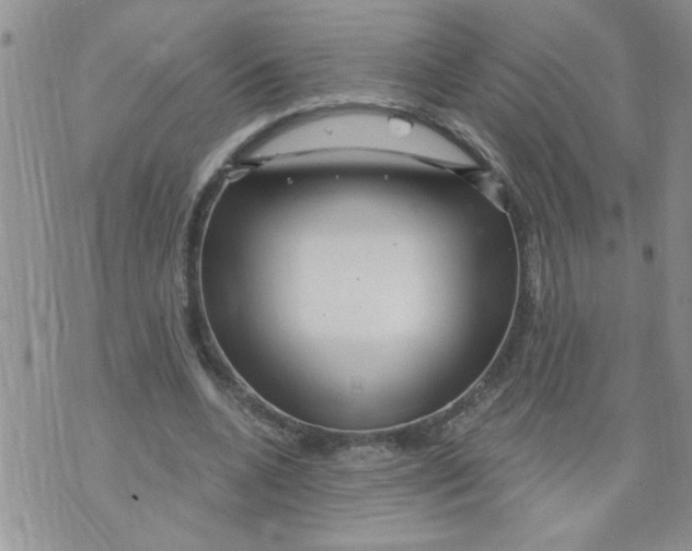 X0000073730536200608311847