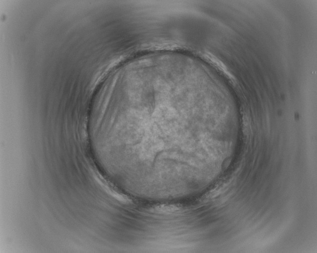 X0000073730537200608311847