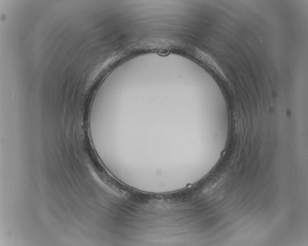 X0000073730538200608311847