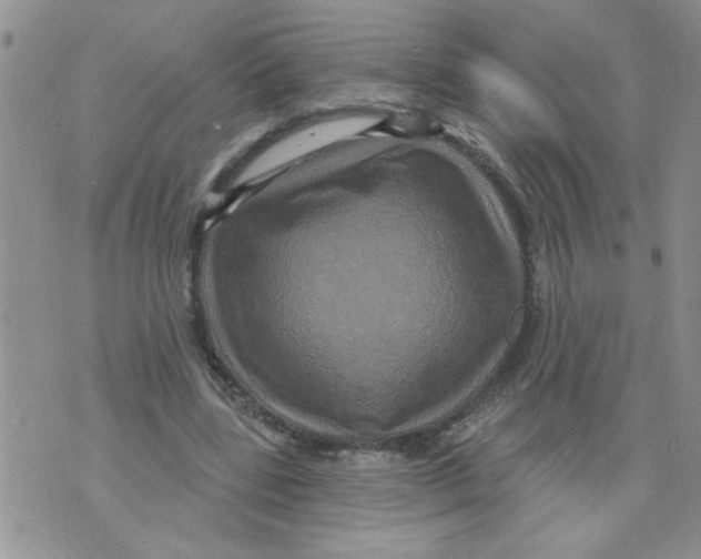 X0000073730539200608311847