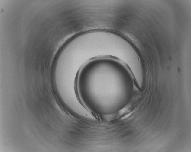 X0000073730540200608311847