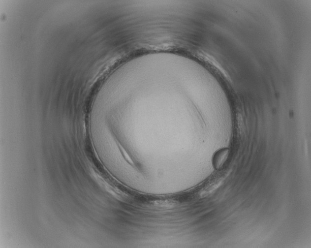 X0000073730541200608311847