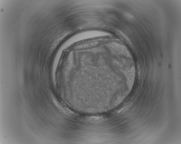 X0000073730542200608311847