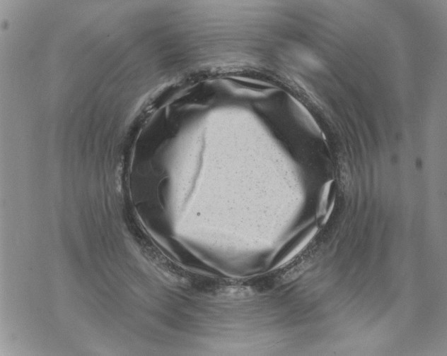 X0000073730543200608311847