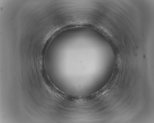 X0000073730544200608311847