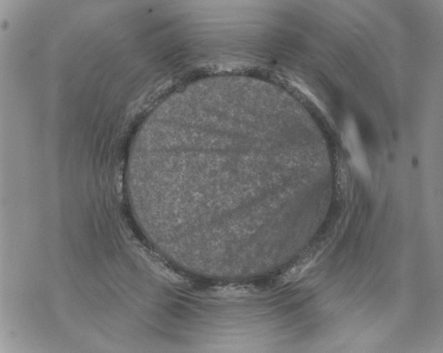 X0000073730545200608311847