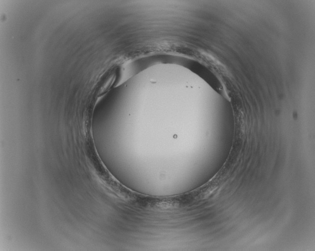 X0000073730546200608311847