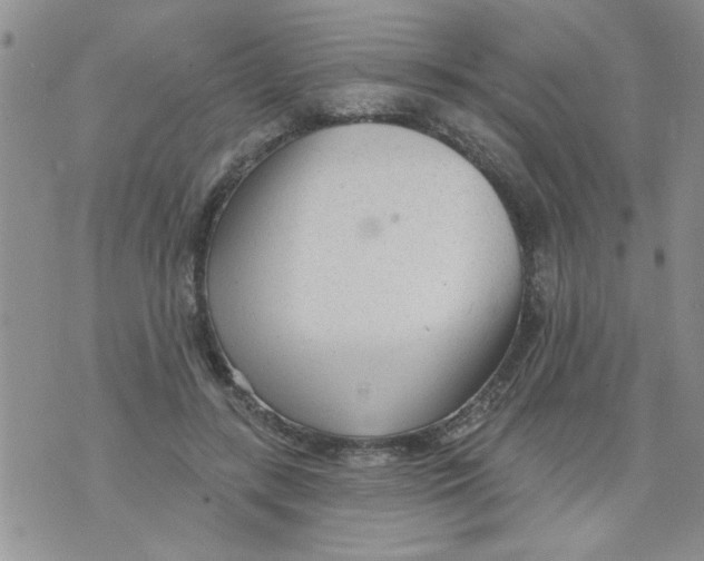 X0000073730547200608311847