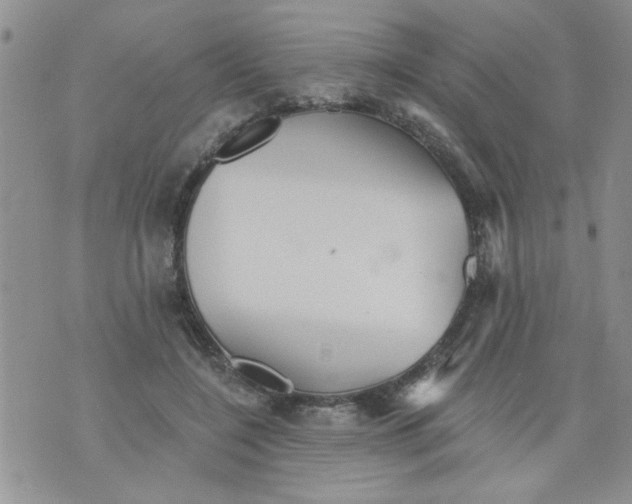 X0000073730548200608311847