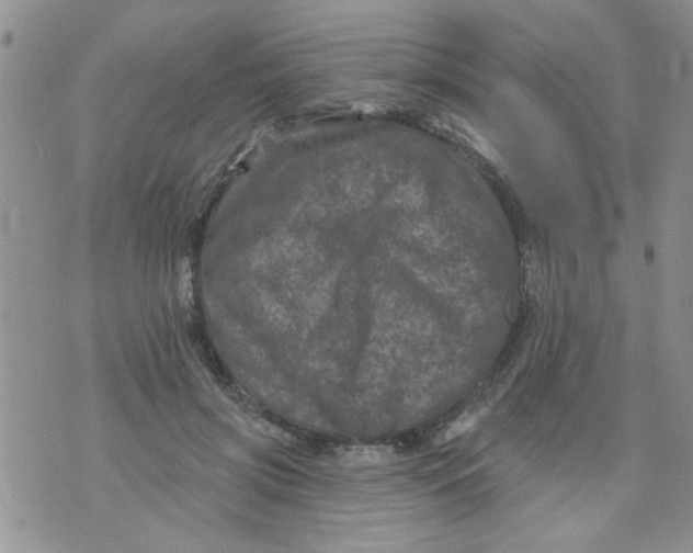 X0000073730549200608311847