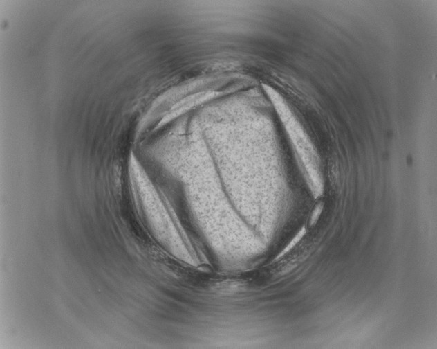 X0000073730551200608311848