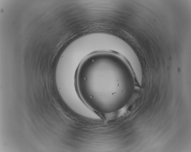 X0000073730552200608311848