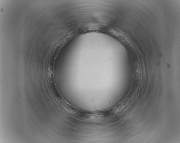 X0000073730555200608311848