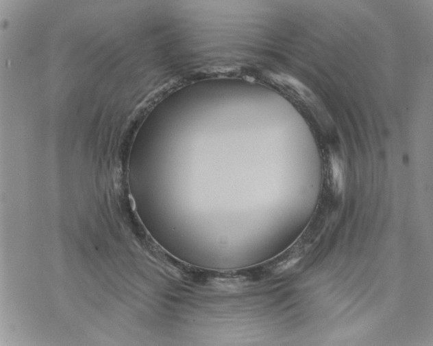 X0000073730556200608311848