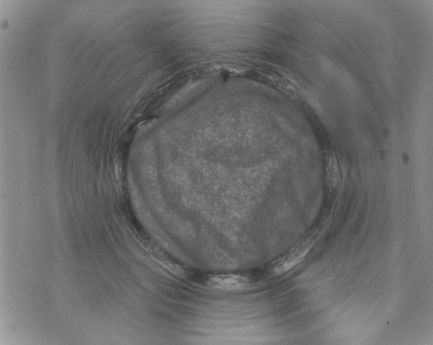 X0000073730557200608311848