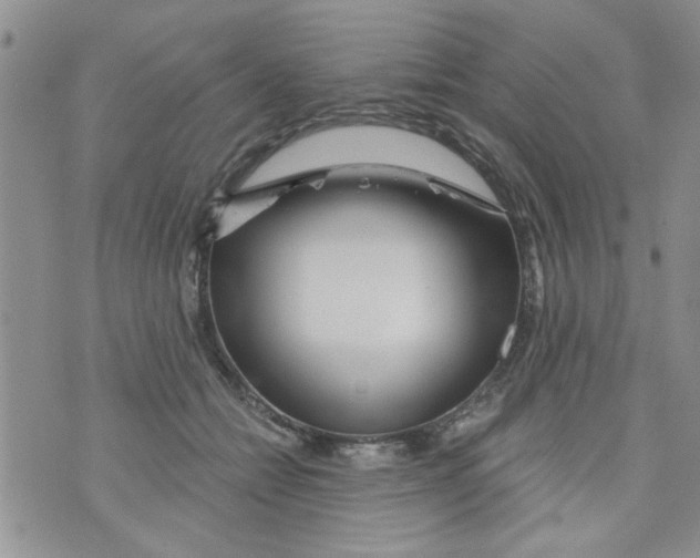 X0000073730558200608311848