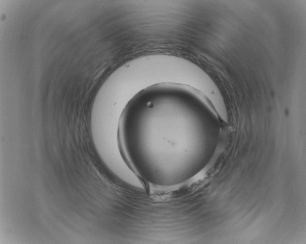 X0000073730560200608311848